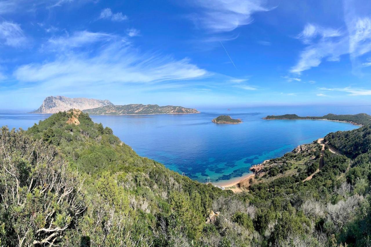 Apartament San Teodoro Punta Est Curatissimo Bilocale Capo Coda Cavallo Zewnętrze zdjęcie