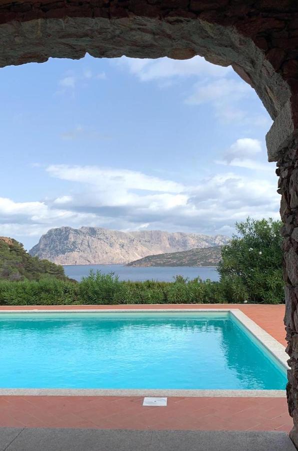 Apartament San Teodoro Punta Est Curatissimo Bilocale Capo Coda Cavallo Zewnętrze zdjęcie