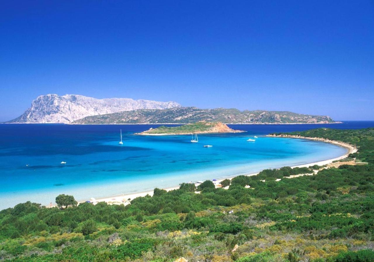 Apartament San Teodoro Punta Est Curatissimo Bilocale Capo Coda Cavallo Zewnętrze zdjęcie